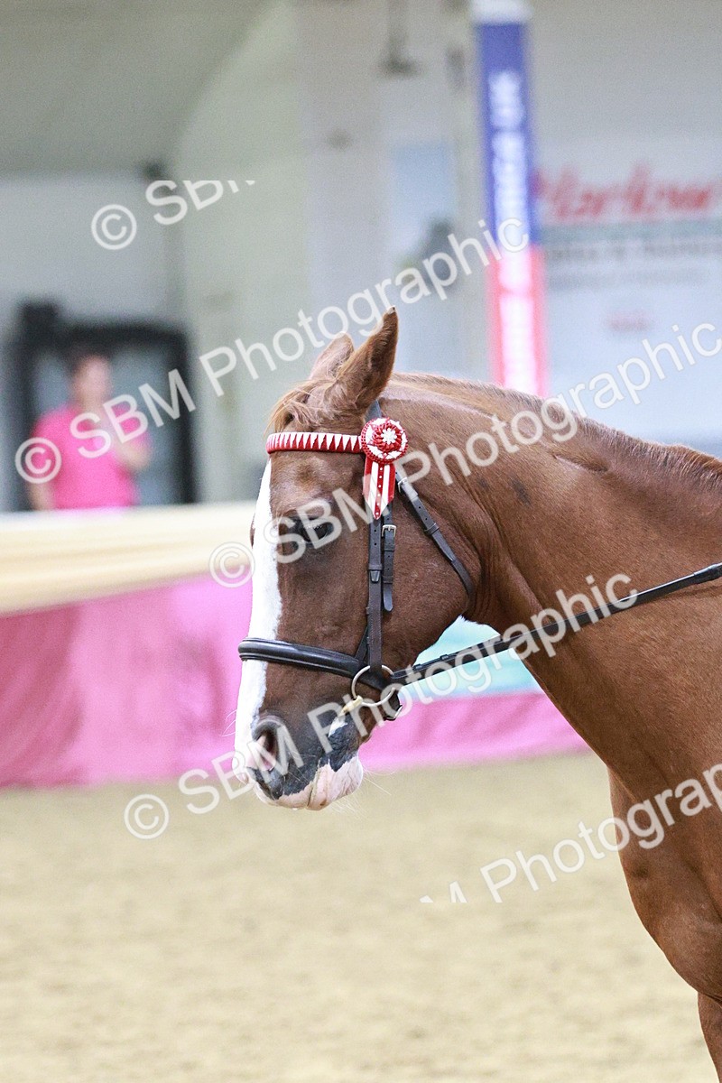 SBM_08130 - Class 11R - Regional Ridden Veteran