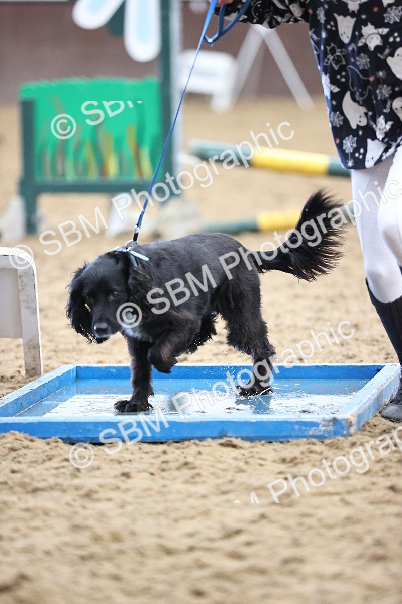 SBM_001559 - Class 3 - Horse & Hound 60cm