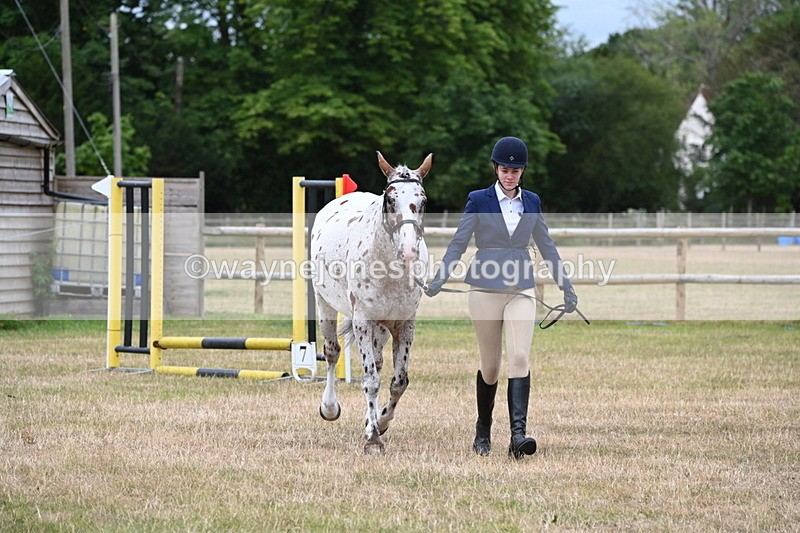 WJ6_4279 - Class 10 Coloured In-hand