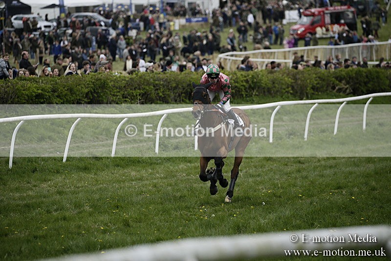 PtP 170417 554 - Old Berks Point-to-Point Lockinge 17/04/17