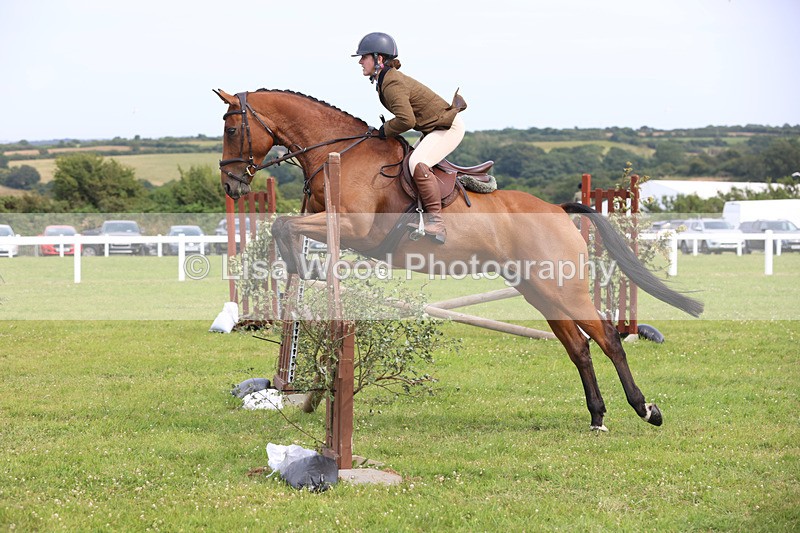 JPP_4092 - Class 24: Working Hunter 90cm