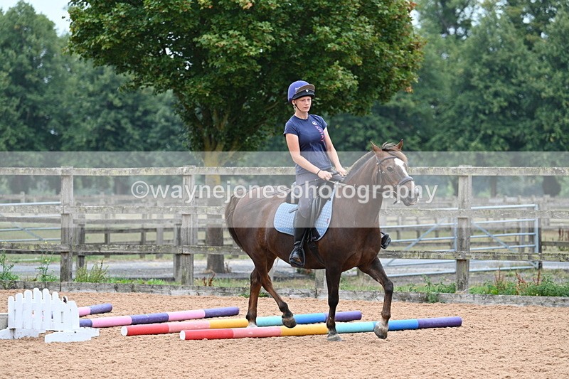 WJ7_7686 - Poles 10:00am