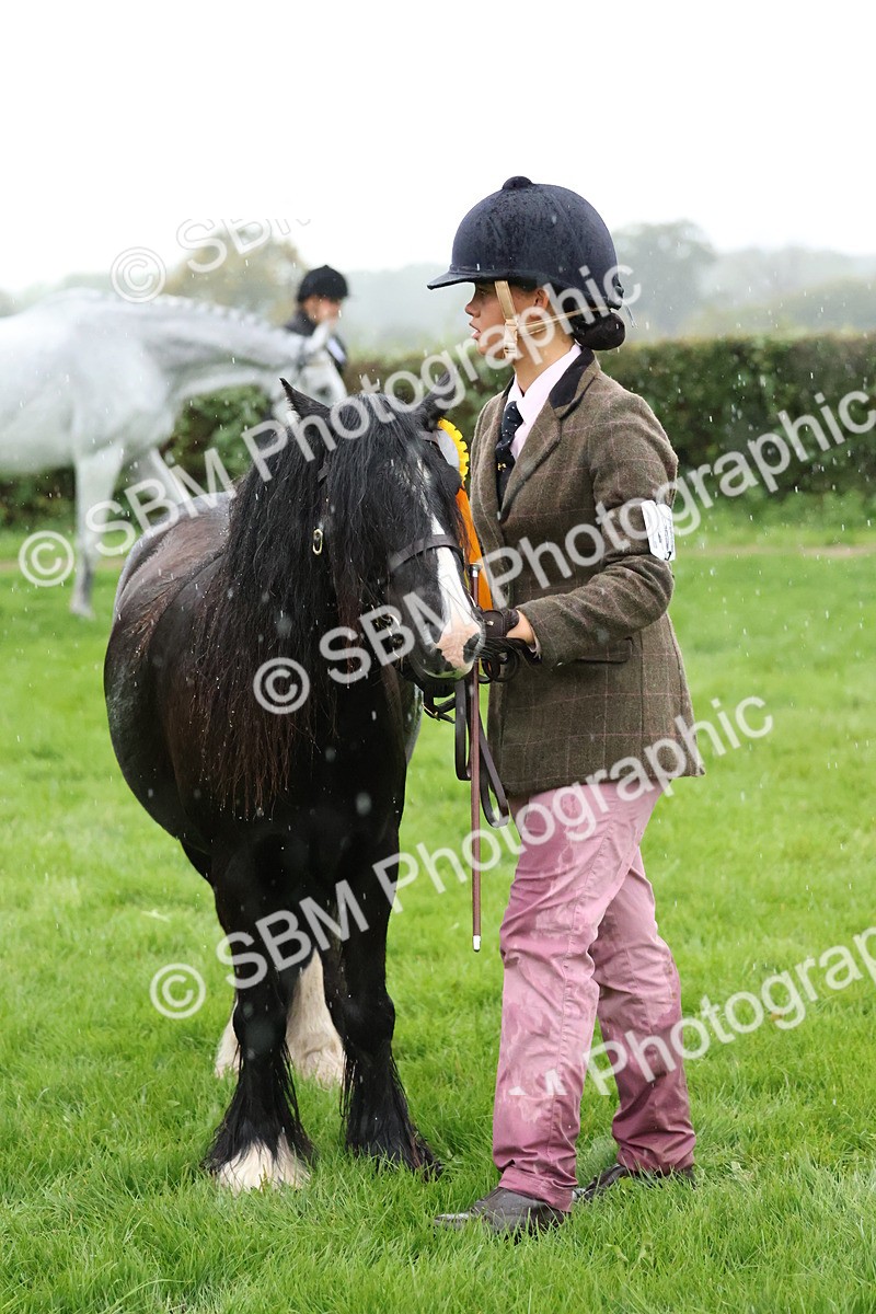 SBM_35381 - S10 - Best In Hand Horse & Pony