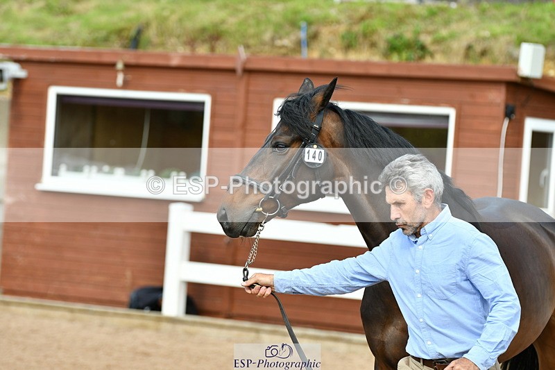 230719A-165641-01268 - Trot Up 4pm to 5pm