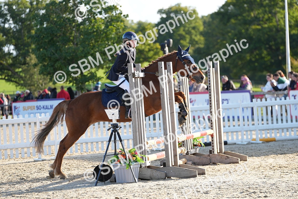 SBM_53931 - J8 - Junior Pony 65cm Championship