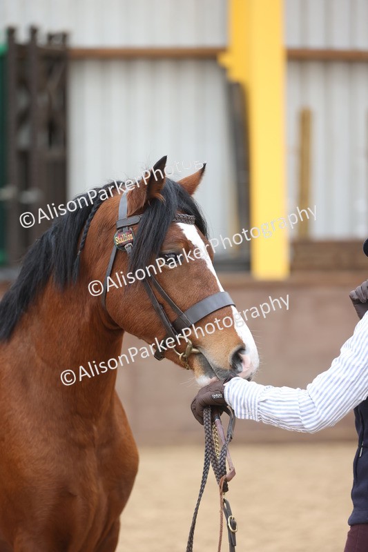 20251109-0936 - Class 26 - 2 and 4 Year Olds