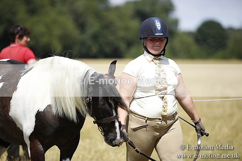 _C7A0086 - In Hand Championship BVRC Show 2018