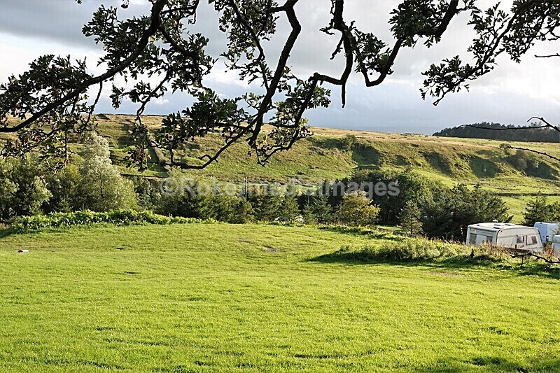 DSC07722 - SEPT 2020 STAYCATION