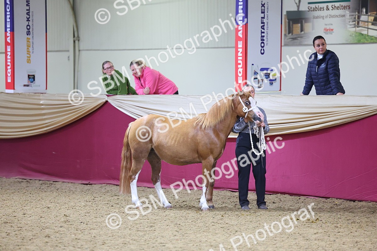 SBM_18857 - Class F Grass Roots Champ