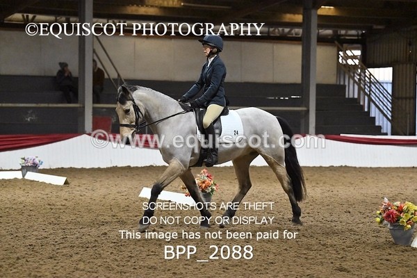 BPP_2088 - NOVICE TEST 2