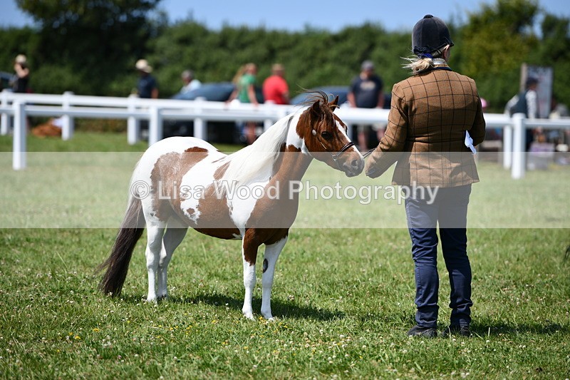 DSC_7783 - Class 64: Coloured Pony 4yrs & over