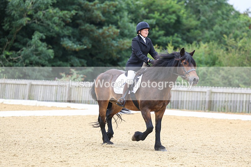 3E7A4698 - Class 1: Intro 4 2024 section A