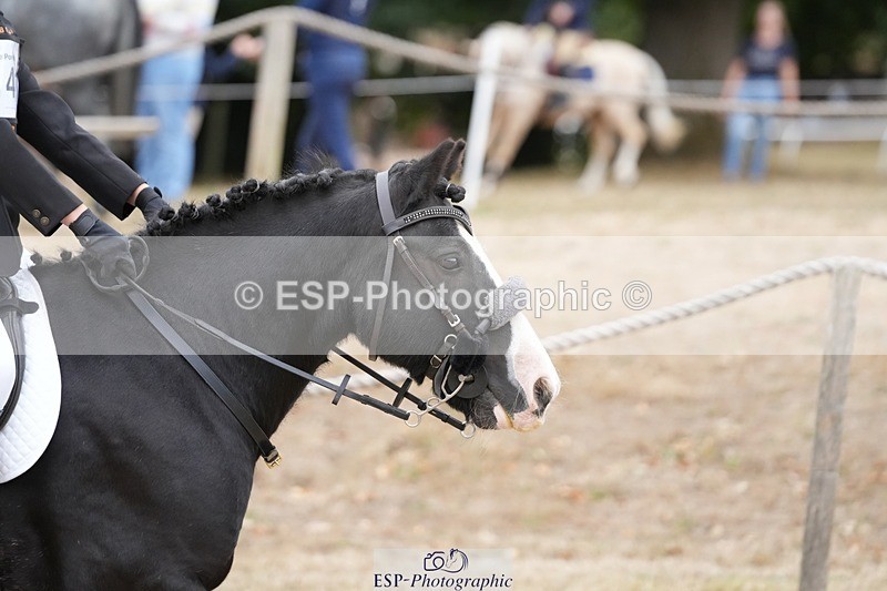 250820A-103335-02376 - Round 2, 9.45 to 10.45 Break