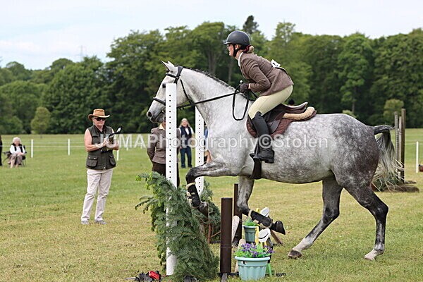 IMG_2757 - Working Hunter