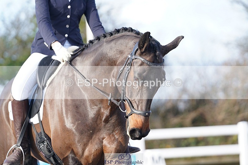 241214-122220-00478 - 113-Millie.Rogers-Rehy.Hulabaloo