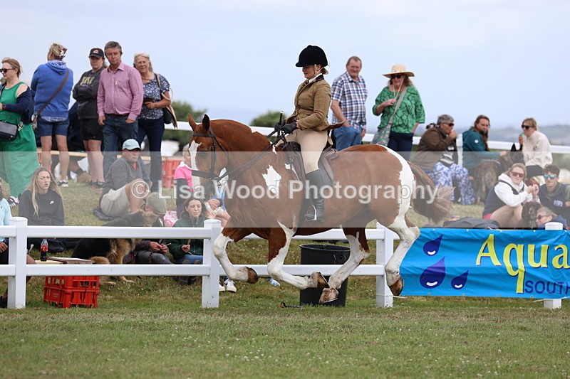 3E7A2026 - Class 10: Open Cob