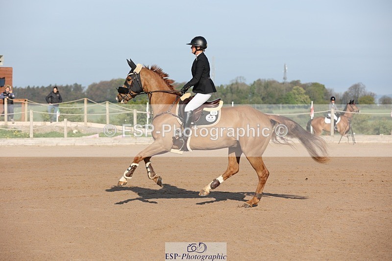 250427-083213-14513 - Cls 28 Young Horse 5yr old