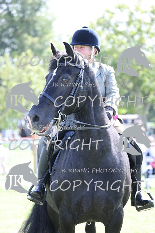 APP_3725 - Class 12 M&M ridden