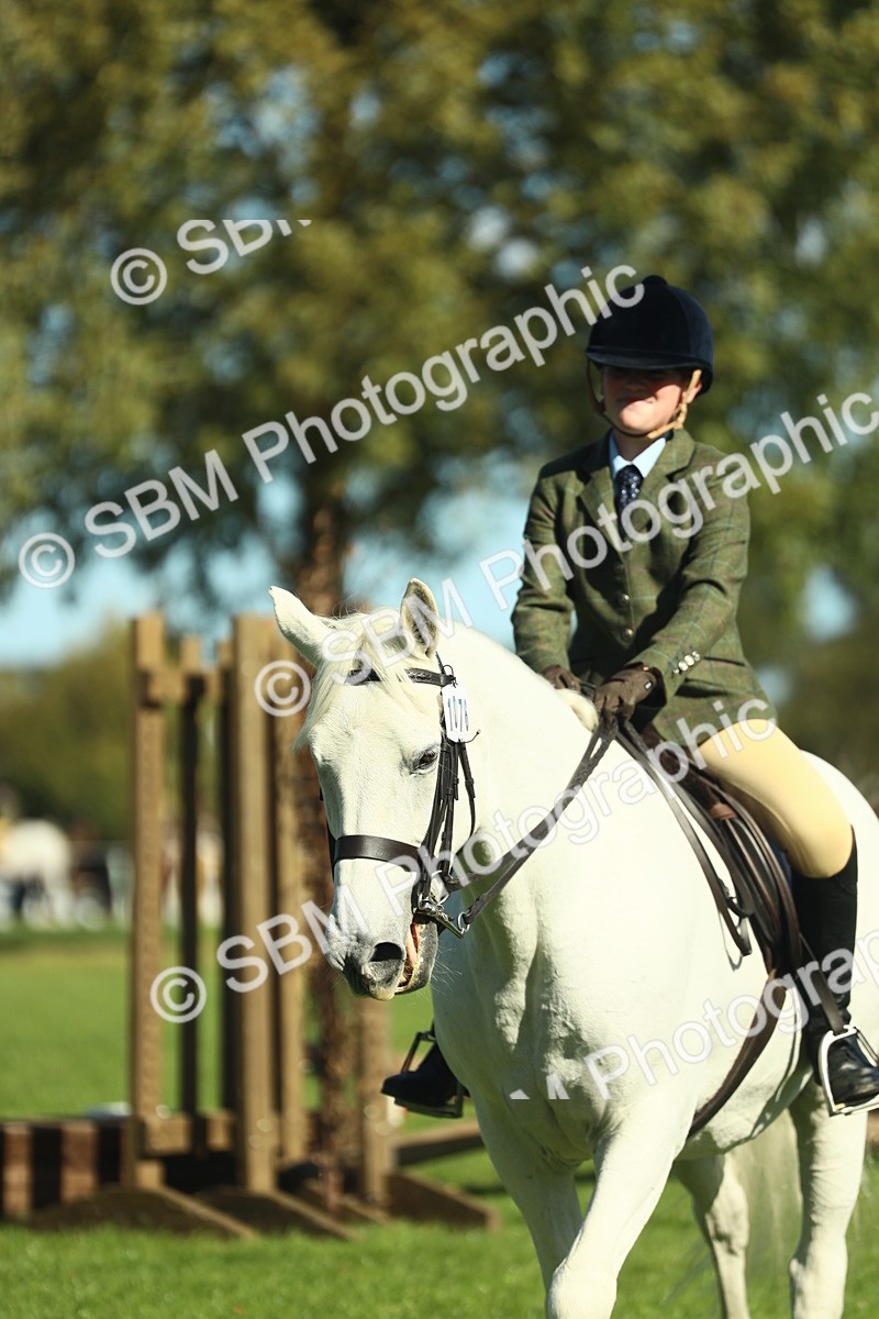 SBM_39190 - S29 - Novice & Newcomers Working Hunter Pony