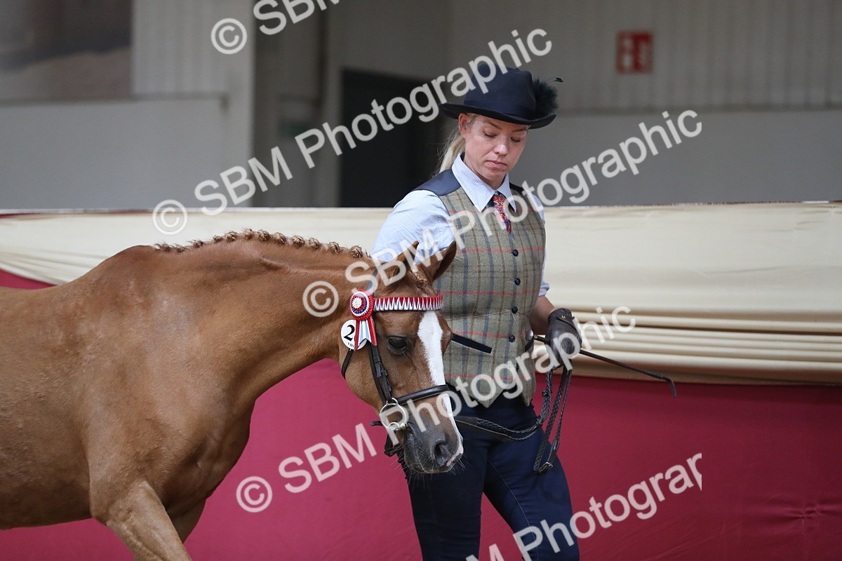SBM_04909 - Class 8R- Regional -IH Veteran