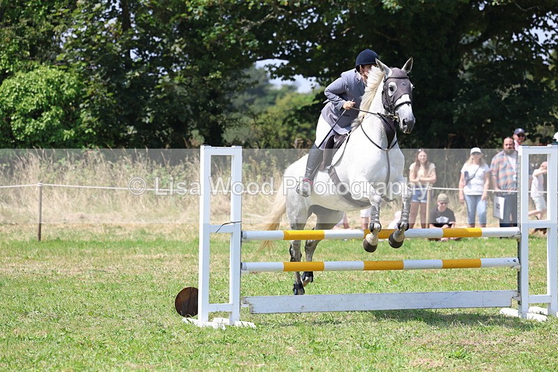 3E7A2906 - Class 7: Senior British Novice/90cm open