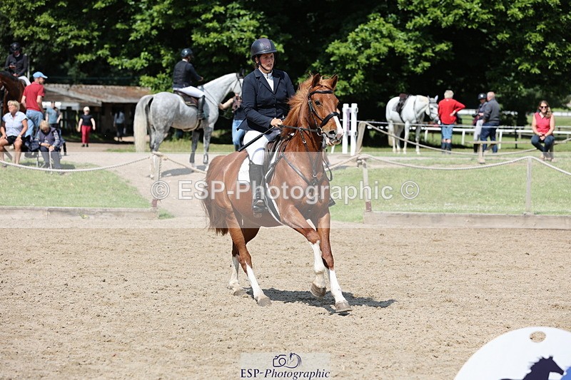 250614A-105203-05818 - Cls 26 British Novice and 90cm Open