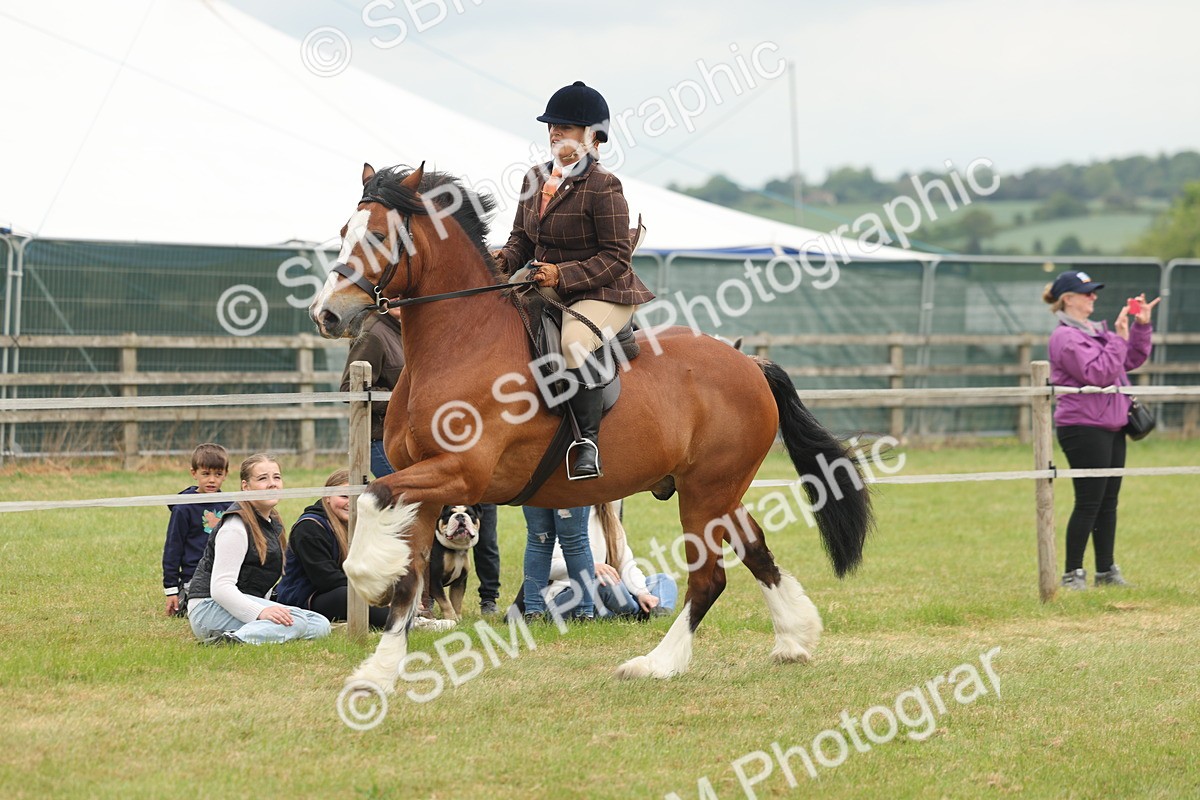 SBM_07212 - Class 76-77 - Ridden M&M Welsh Ponies