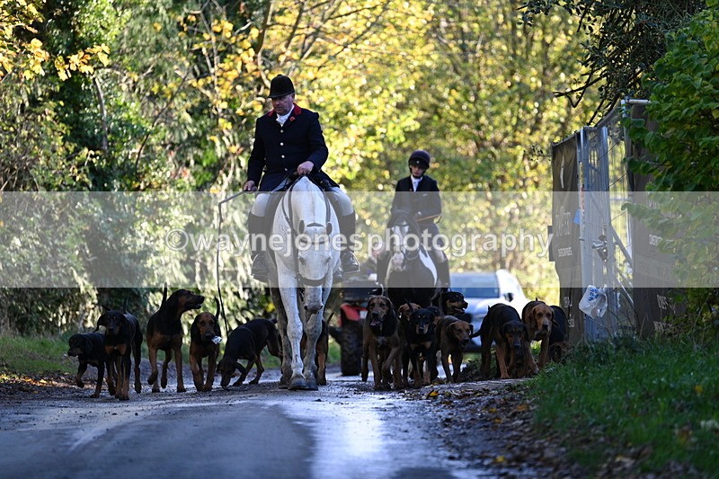 WJ7_8599 - Walk Home