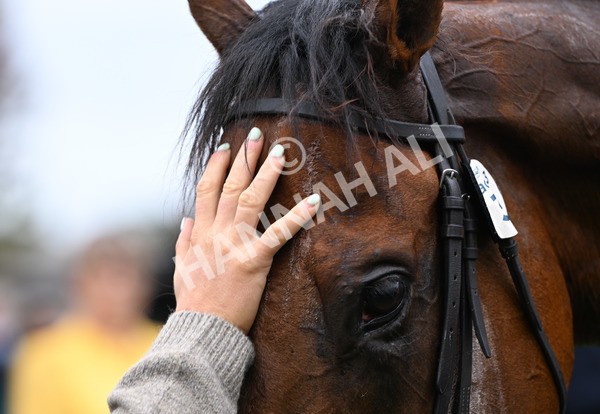 200825-118 Pride Of Arras - Race 3 3.00pm Sky Bet Great Voltigeur Stakes