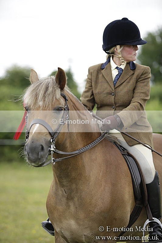 BVR160717-1345 - Ring 1 BVRC Show 16/07/17