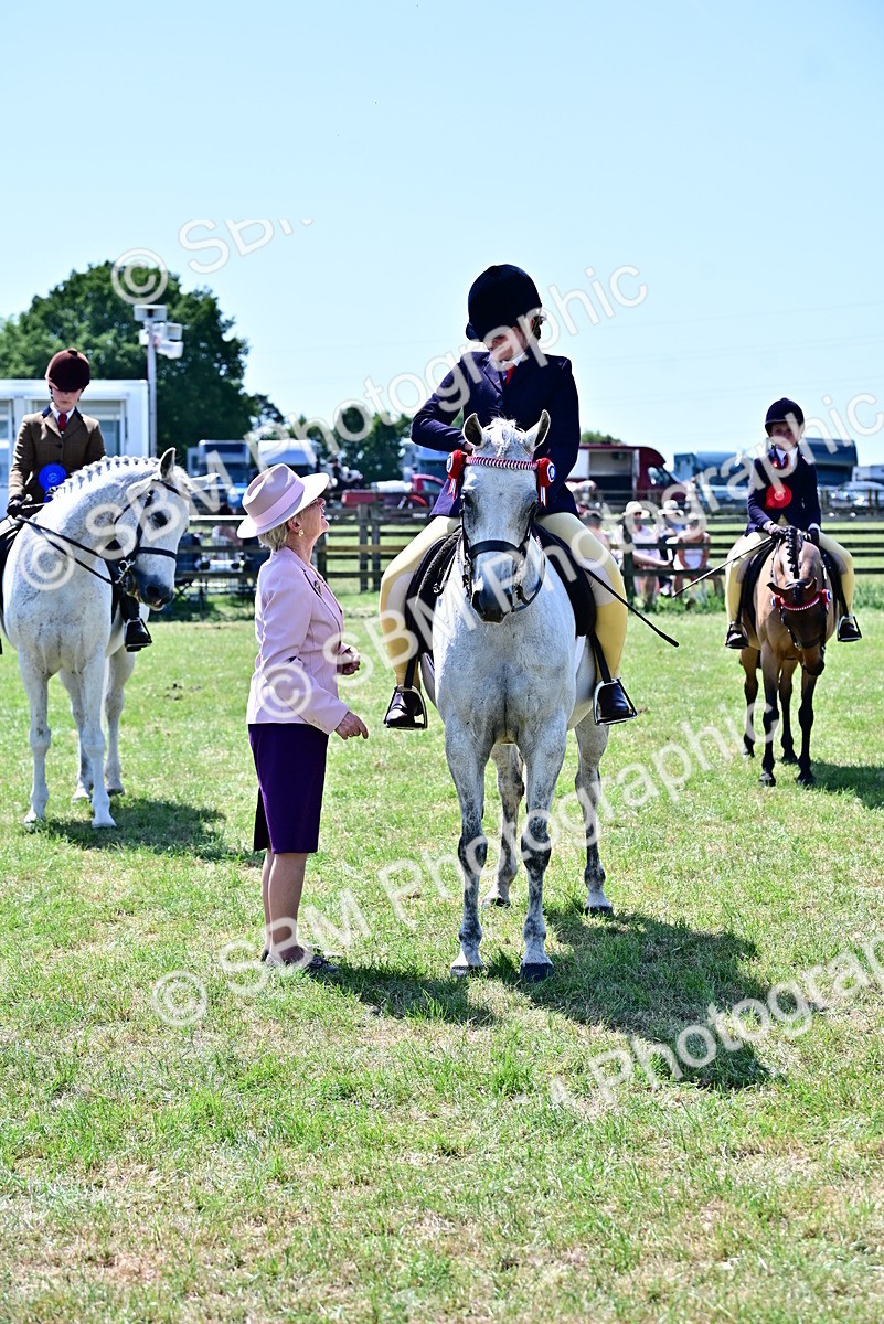 SBM_17565 - Class 95-97 - BSPS LHS Performance Ponies