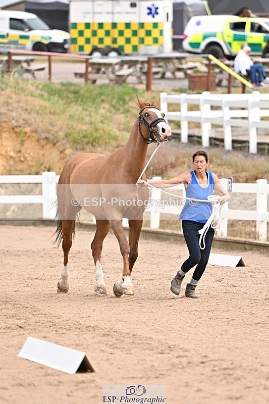 250716-150628-01627 - Trot Up 2.30 to 3.30