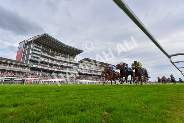 220824-Race 7-Alfa Kellenic-4128 - Race 7 5.20pm British EBF Fillies' Handicap