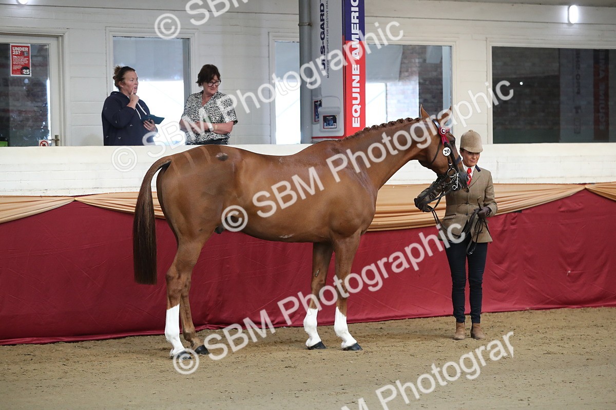 SBM_00519 - class 2a Area IH Veteran