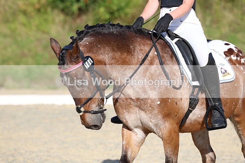 3E7A3634 - Class 2: Intro 1 2024 Section B