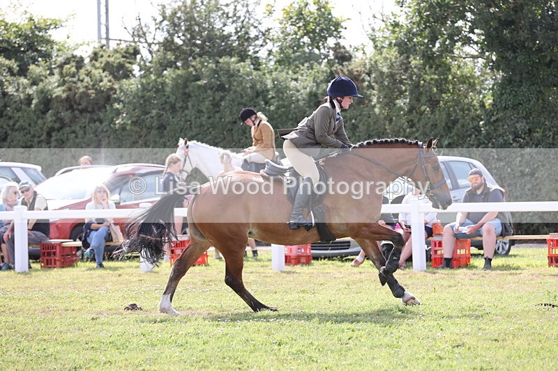 JPP_2638 - Class 20: Working Hunter 70cm