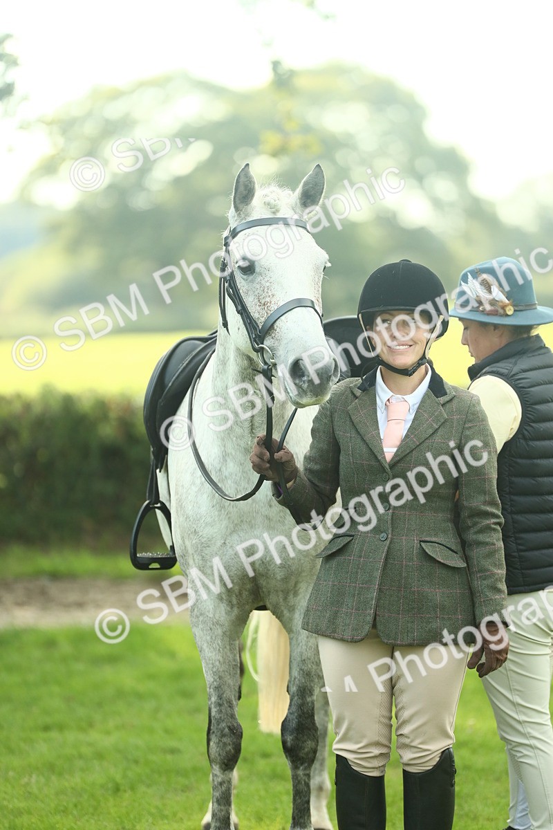 SBM_52147 - S33 - Working Hunter & Working Show Horse