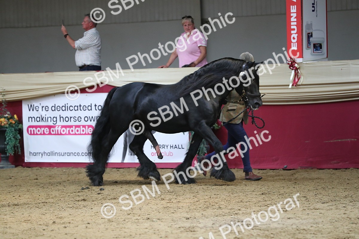 SBM_06523 - Regional IH Champ