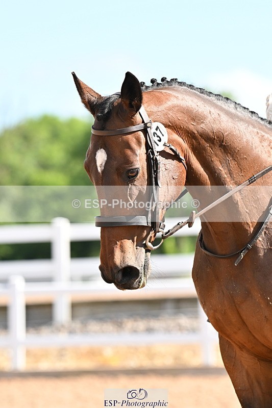 240622A-085426-07287 - Cls 1 Intro A