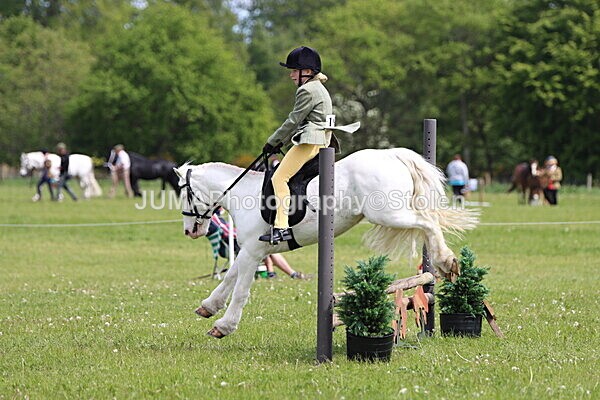 IMG_3022 - Working Hunter