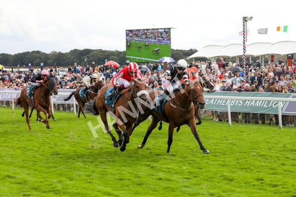 250823-Race 5-Reach-5911 - Race 5 4.10pm Assured Data Protection EBF Fillies' Handicap