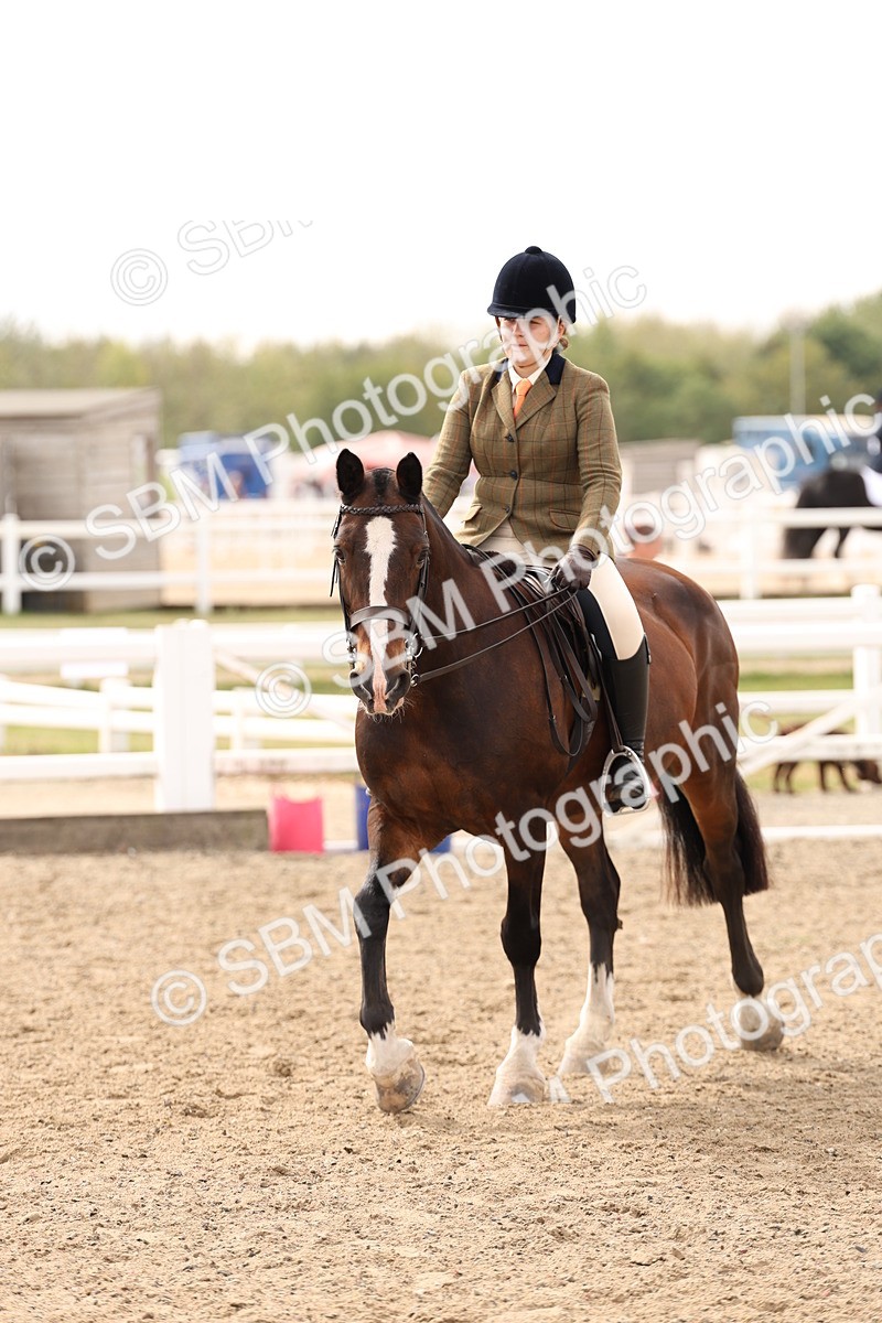 SBM_05132 - Class 56a -  Style & Performance - 50cm (15-19)