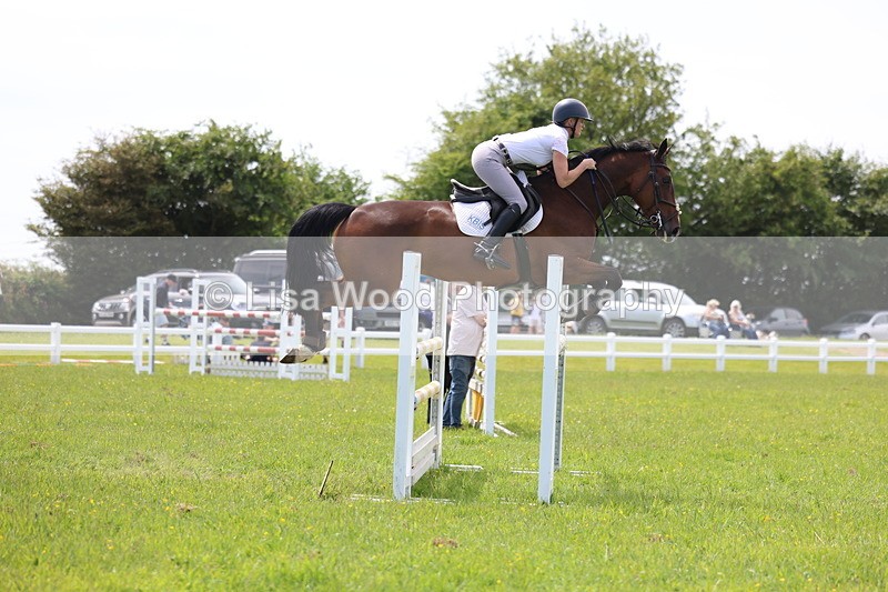 3E7A1412 - Class 12: Senior Foxhunter/1.20 open