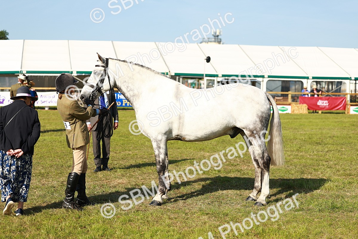 SBM_10808 - Class 66-69 - RIHS Ridden Hunters Inc Small Hunter
