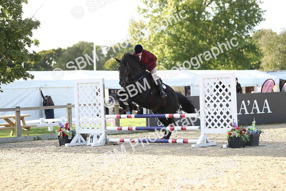 SBM_11468 - J37 - Veteran Rider 75cm