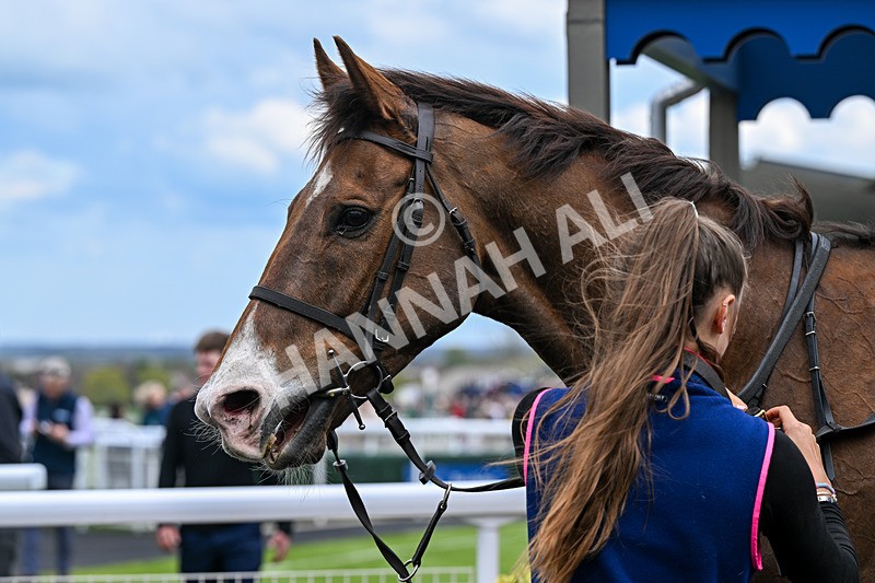 150426-Race 5-Elysian Flame-7276 - Race 5