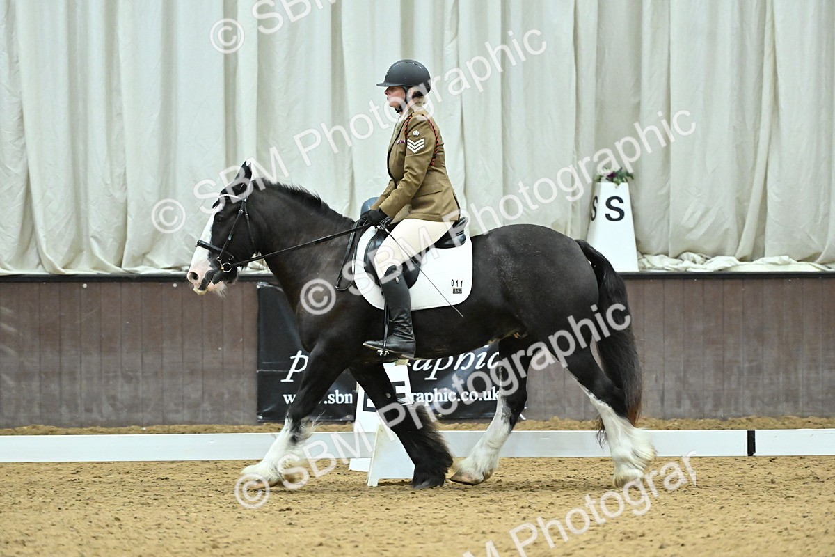 SBM_007462 - Class 81 - Novice 3