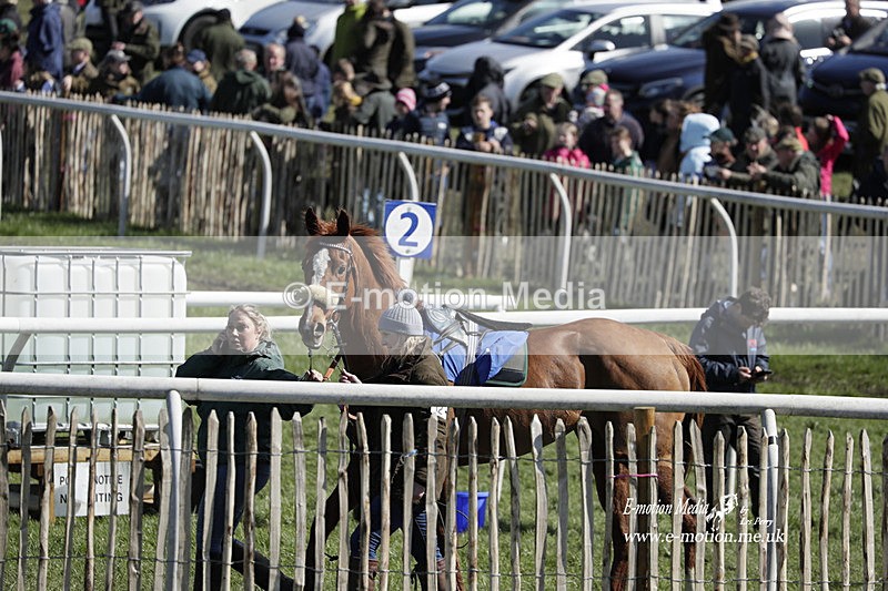 PtP 100423 543 - Old Berkshire Point-to-Point Lockinge 10/04/23