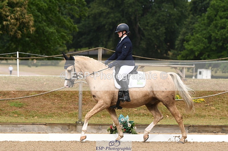 250719A-093119-02933 - 031-Catherine.Boyd-Dante's.Spring