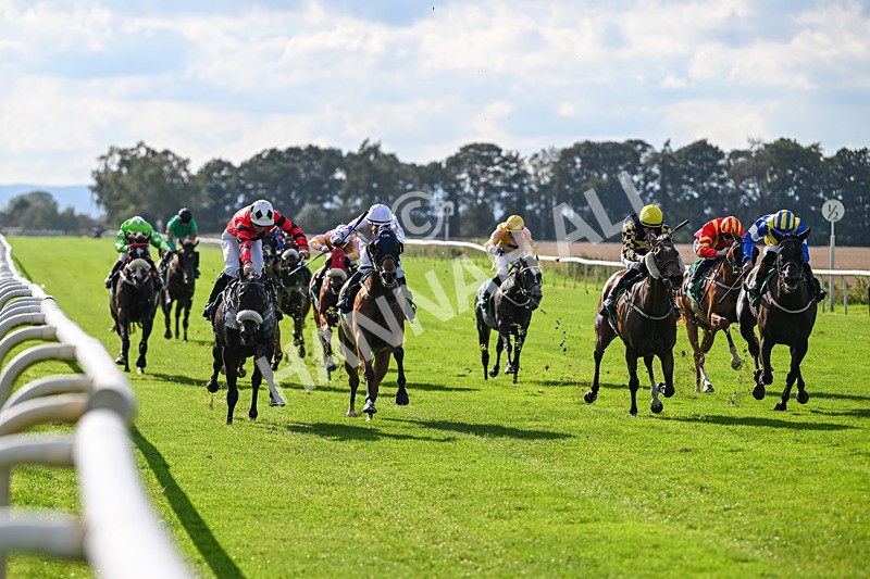 140926-Race 4-Lamlash Bay-7215 - Race 4 3.51pm Sapphire Selling Handicap